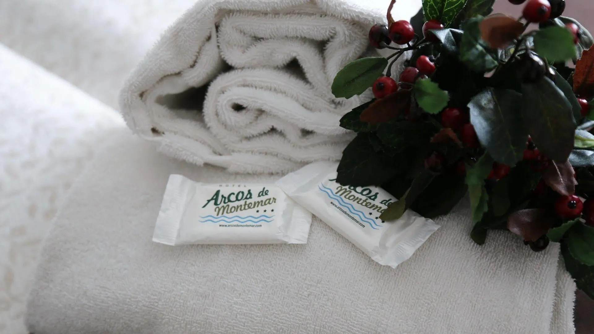 Hotel Arcos De Montemar Torremolinos 3*,